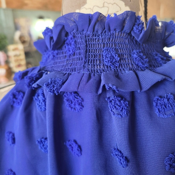 Vine & Love Swiss Dot Blue Sleeveless Blouse Size Small - Picture 4 of 5